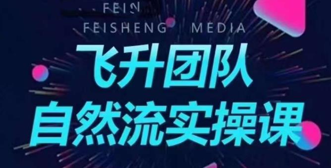 【副业项目6267期】飞升团队课程自然流实操课，抖音半无人起号主播间搭建教学-副业大全