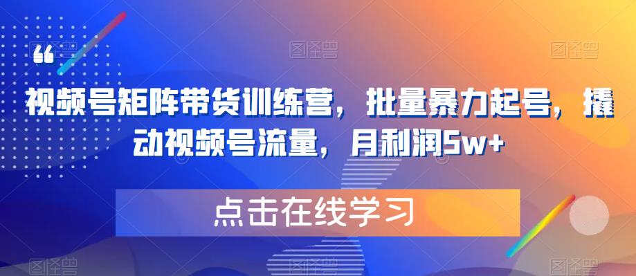 【副业项目6254期】视频号矩阵带货训练营，批量暴力起号，撬动视频号流量，月利润5w+-副业大全