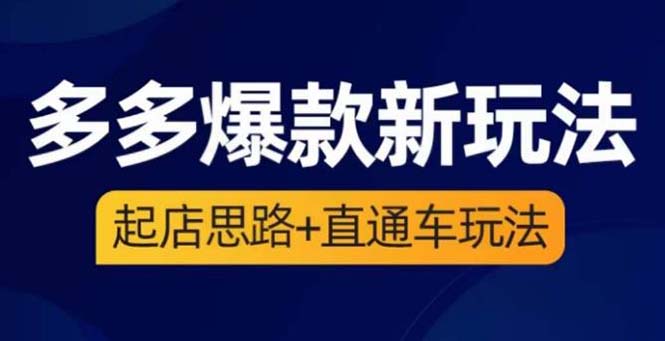 【副业项目6039期】2023拼多多爆款·新玩法：起店思路+直通车玩法（3节精华课）-副业大全