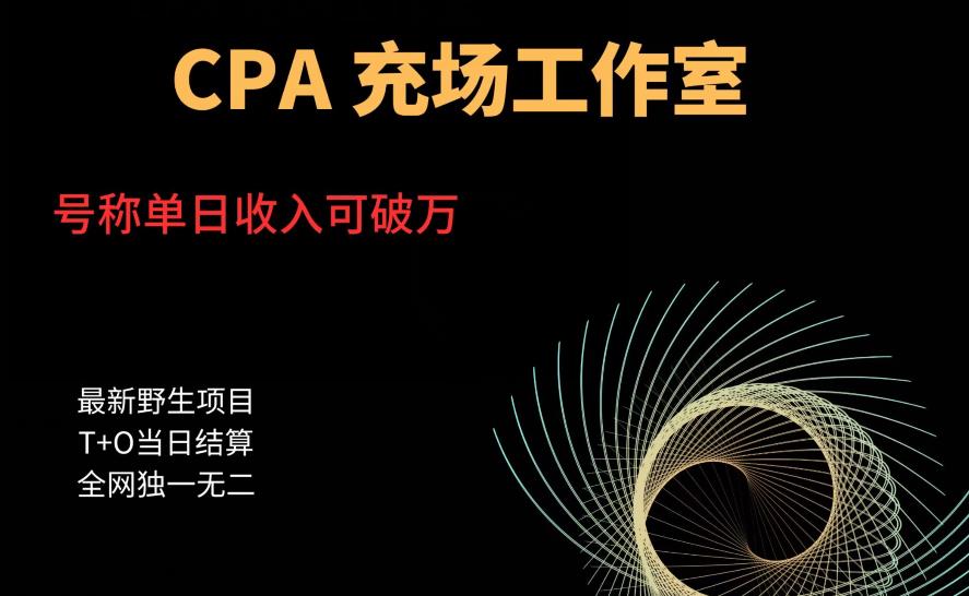 【副业项目6075期】cpa充场工作室，号称单日收入10000+（揭秘）-副业大全