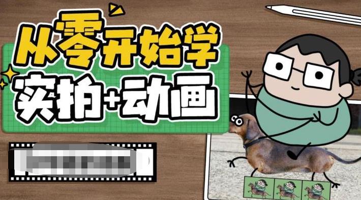 【副业项目6738期】从零开始学实拍加动画，实拍加动画创意教程（49节视频课）-副业大全
