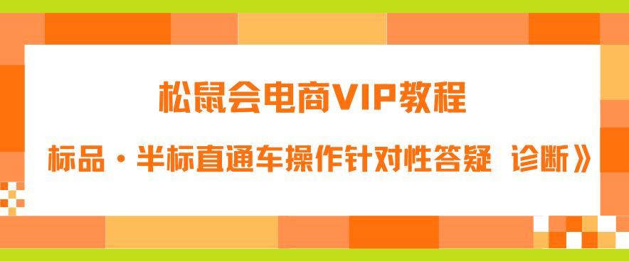 【副业项目6373期】松鼠会电商VIP教程：松鼠《付费推广标品·半标直通车操作针对性答疑&诊断》-副业大全