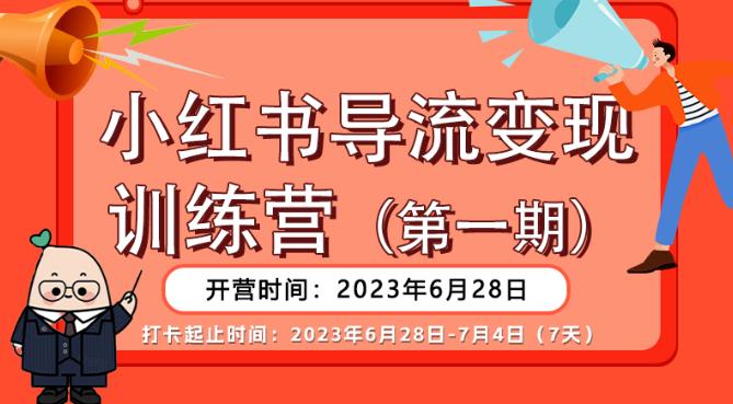 【副业项目6553期】【推荐】小红书导流变现营，公域导私域，适用多数平台，一线实操实战团队总结，真正实战，全是细节！-副业大全