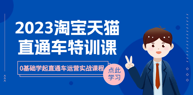 【副业项目6489期】2023淘宝·天猫直通车评特训课，0基础学起直通车运营实战课程（8节课时）-副业大全