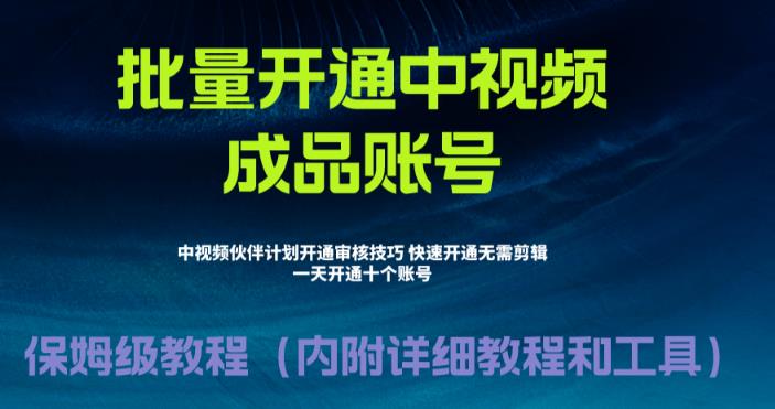 【副业项目6718期】外面收费1980暴力开通中视频计划教程，附 快速通过中视频伙伴计划的办法-副业大全