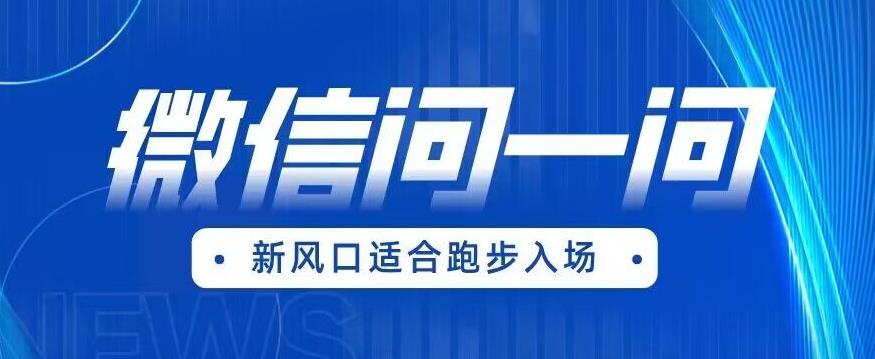 【副业项目6729期】全网首发微信问一问新风口变现项目（价值1999元）【揭秘】-副业大全