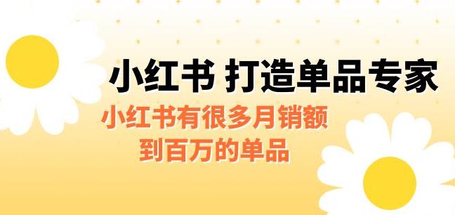 【副业项目6703期】某公众号付费文章《小红书打造单品专家》小红书有很多月销额到百万的单品-副业大全