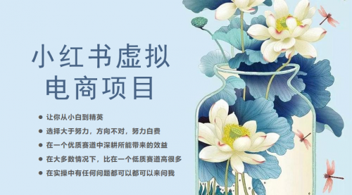 【副业项目6786期】小红书虚拟电商从0到1，让你从小白到精英（20节实操课程）-副业大全