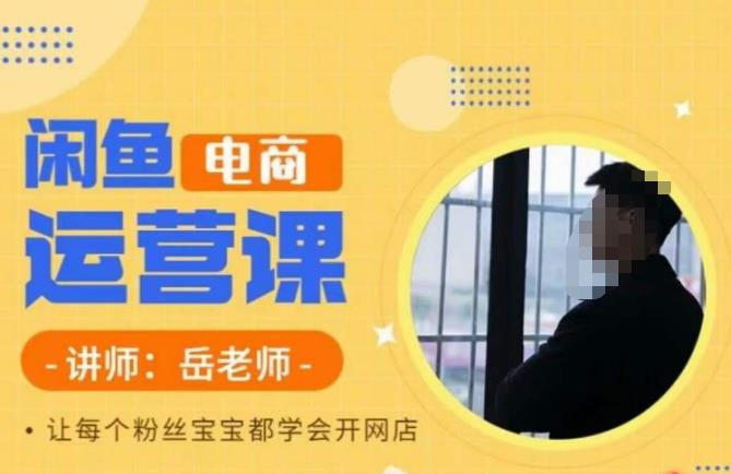 【副业项目6829期】岳老师·闲鱼电商运营课，让每个粉丝宝宝都学会开网店-副业大全