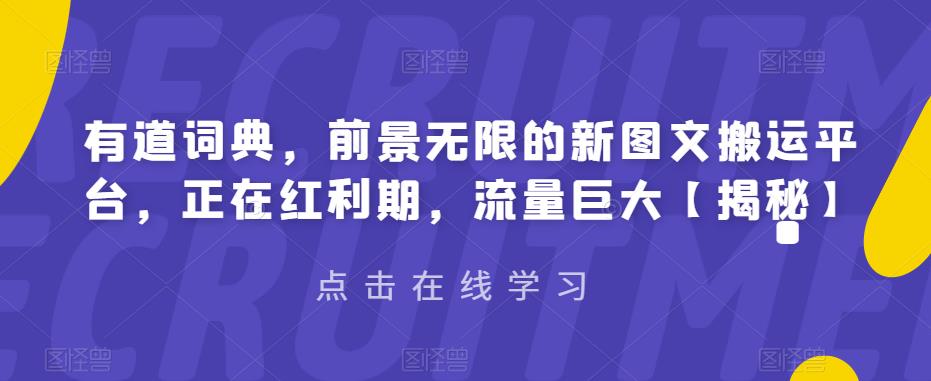 【副业项目6843期】有道词典，前景无限的新图文搬运平台，正在红利期，流量巨大【揭秘】-副业大全