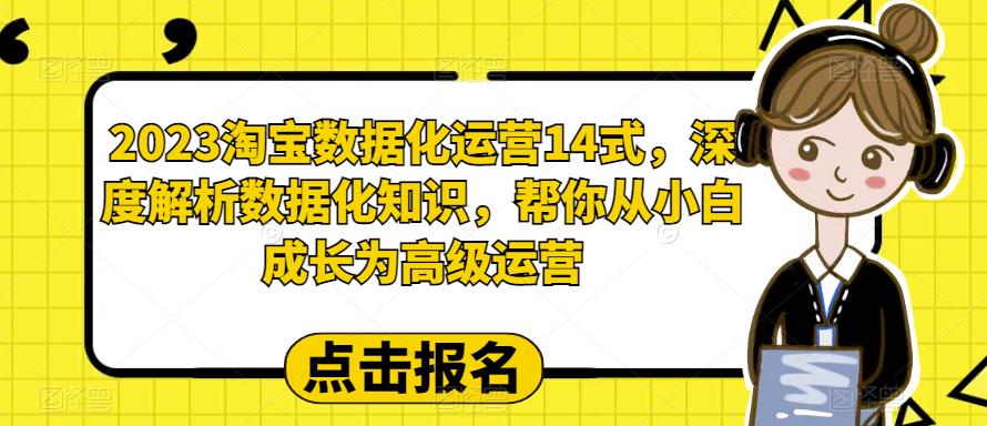 【副业项目6599期】2023淘宝数据化-运营 14式，深度解析数据化知识，帮你从小白成长为高级运营-副业大全