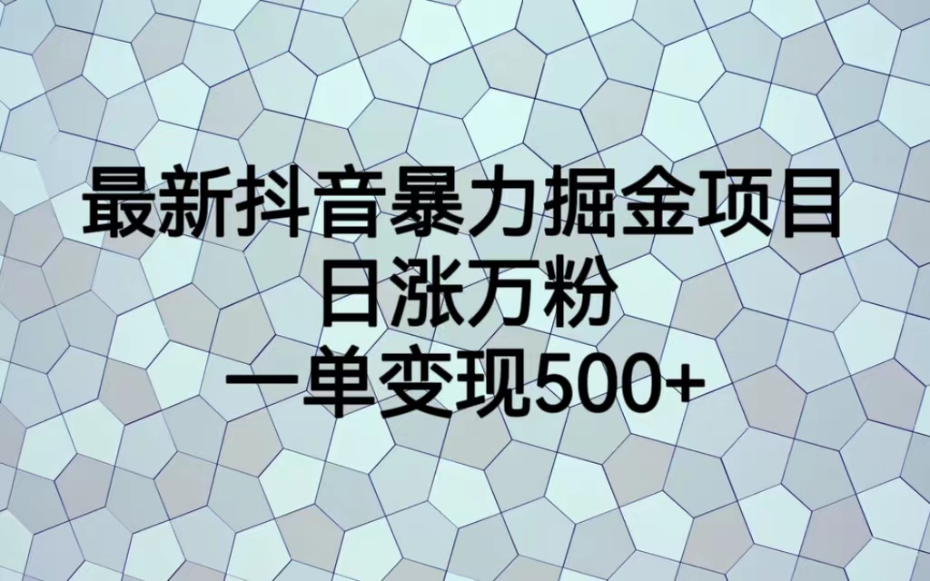 【副业项目6939期】最新抖音暴力掘金项目，日涨万粉，一单变现500+-副业大全