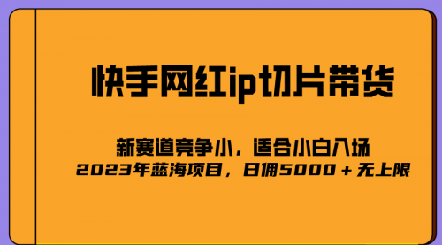 【副业项目7037期】2023爆火的快手网红IP切片，号称日佣5000＋的蓝海项目，二驴的独家授权-副业大全