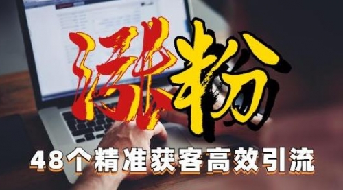 【副业项目7097期】独家分享48个引流绝技，再没粉丝只能怪自己了！-副业大全