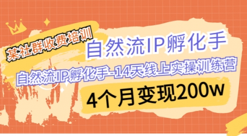 【副业项目7109期】自然流IP孵化手-14天线上实操训练营 4个月变现200w-副业大全