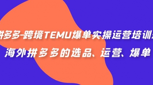 【副业项目7128期】拼多多-跨境TEMU爆单实操运营培训班，海外拼多多的选品、运营、爆单-副业大全