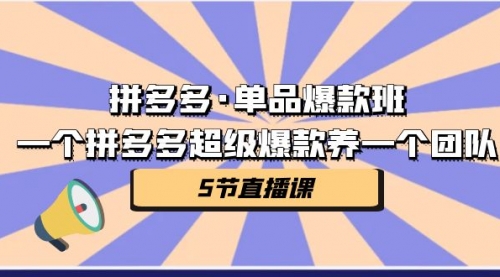 【副业项目第7171期】拼多多·单品爆款班，一个拼多多超级爆款养一个团队-副业大全