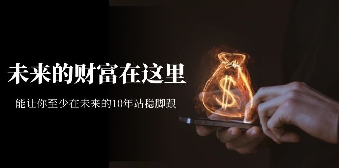 【副业项目7298期】某收费文章《未来的财富在这里》能让你至少在未来的10年站稳脚跟-副业大全