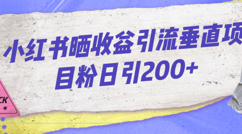 【副业项目7194期】小红书晒收益图引流垂直项目粉日引200+-副业大全