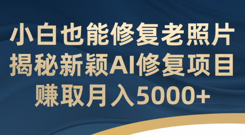 【副业项目7218期】小白也能修复老照片！揭秘新颖AI修复项目-副业大全