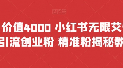 【副业项目7956期】价值4000 小红书无限艾特暴力引流创业粉 精准粉揭秘教程-副业大全