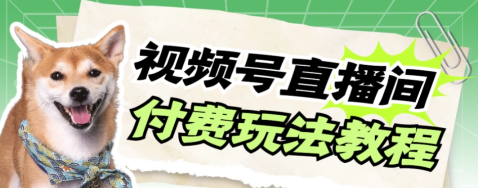 【副业项目7973期】视频号美女付费无人直播，轻松日入500+-副业大全