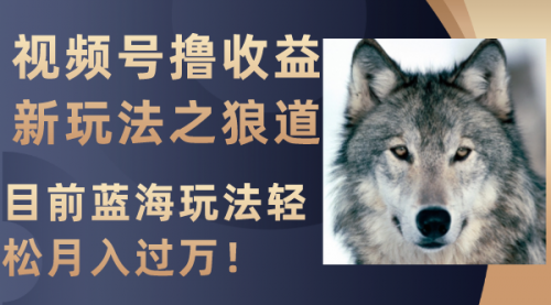 【副业项目8271期】视频号撸收益新玩法之狼道，目前蓝海玩法轻松月入过万！-副业大全