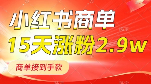 【副业项目8480期】小红书商单最新玩法，新号15天2.9w粉，接单到手软-副业大全