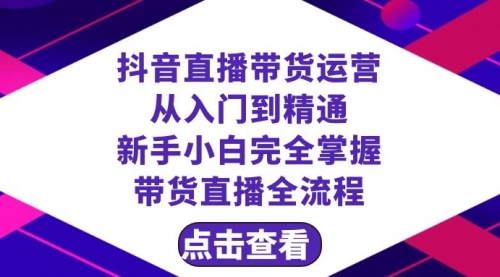 【副业项目8483期】抖音直播带货 运营从入门到精通，新手完全掌握带货直播全流程（23节-副业大全