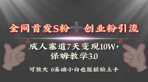 【副业项目8506期】成人用品赛道7天变现10w+保姆教学3.0-副业大全