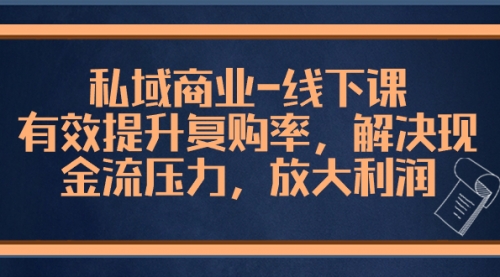 【副业项目8578期】私域商业-线下课，有效提升复购率，解决现金流压力，放大利润-副业大全