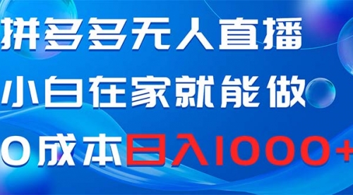 【副业项目8603期】拼多多无人直播，小白在家就能做，0成本日入1000+-副业大全
