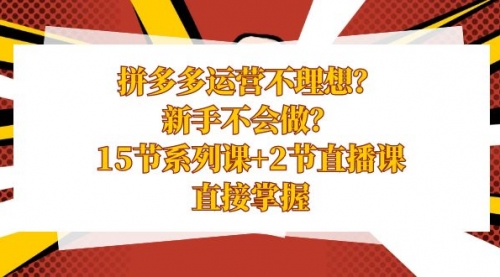 【副业项目8633期】拼多多运营不理想？新手不会做？15节系列课+2节直播课-副业大全