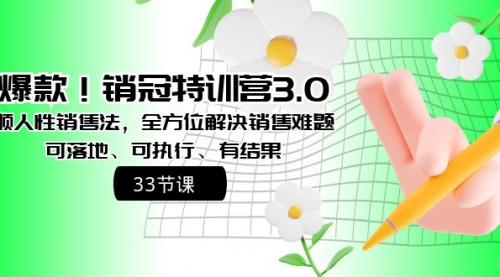 【副业8705期】销冠特训营3.0之顺人性销售法，全方位解决销售难题、可落地-副业大全
