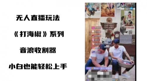 【副业8766期】打海椒无人直播整蛊项目，小白轻松上手撸音浪收割器（教程+工具+素材）-副业大全