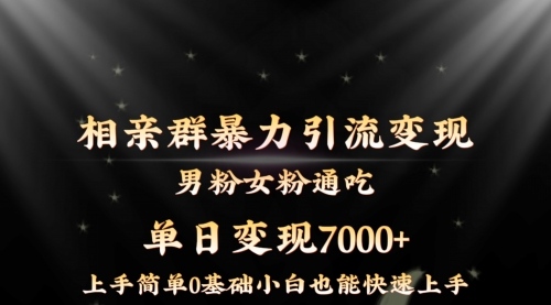 【副业8845期】相亲群暴力引流男粉女粉通吃变现玩法，单日变现7000+保姆教学1.0-副业大全