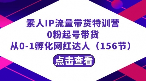 【副业8847期】繁星·计划素人IP流量带货特训营：0粉起号带货 从0-1孵化网红达人（156节）-副业大全