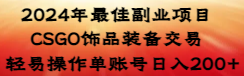 【副业8982期】2024年最佳副业项目 CSGO饰品装备交易 轻易操作单账号日入200+-副业大全