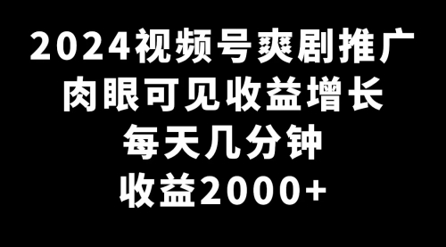 【副业9031期】2024视频号爽剧推广，肉眼可见的收益增长，每天几分钟收益2000+-副业大全