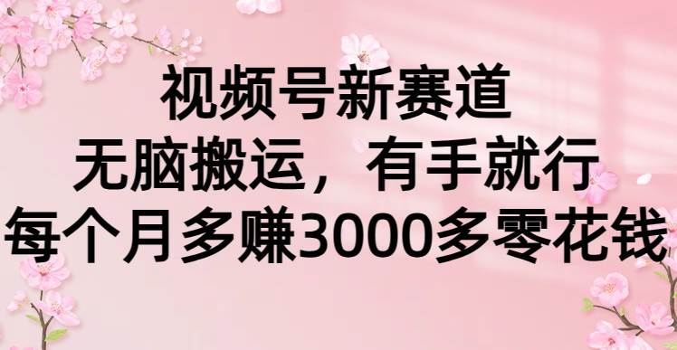 视频号新赛道，无脑搬运，有手就行，每个月多赚3000多零花钱-副业大全