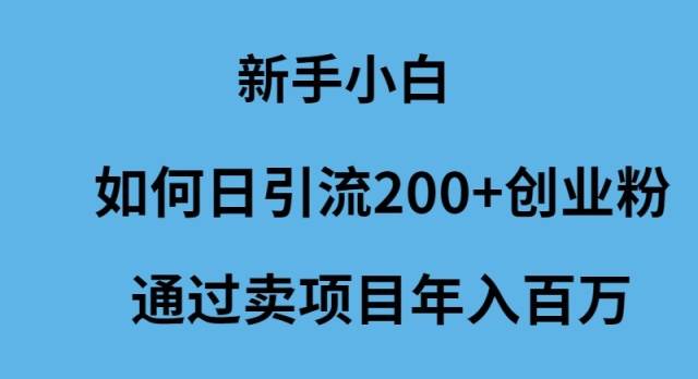 新手小白如何日引流200+创业粉通过卖项目年入百万-副业大全