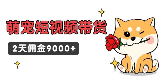 东哲日记·萌宠短视频带货，2天佣金9000+-副业大全