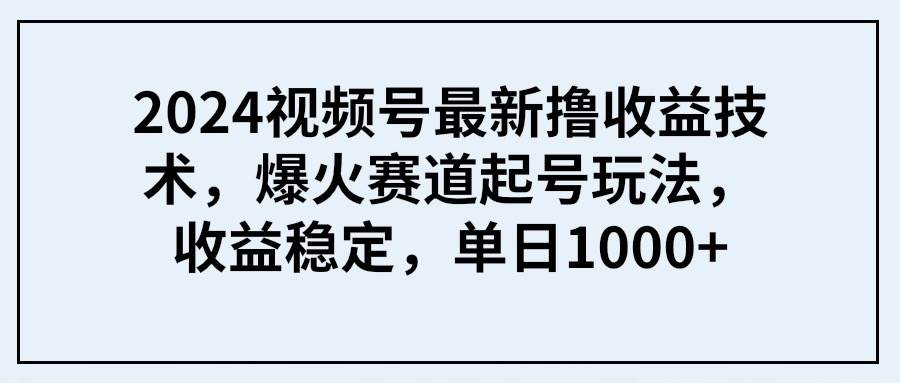 2024视频号最新撸收益技术，爆火赛道起号玩法，收益稳定，单日1000+-副业大全