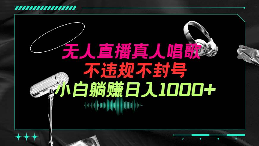 抖音24小时无人直播音乐，不违规，不封号纯撸音浪，小白实操当天日入1000+-副业大全