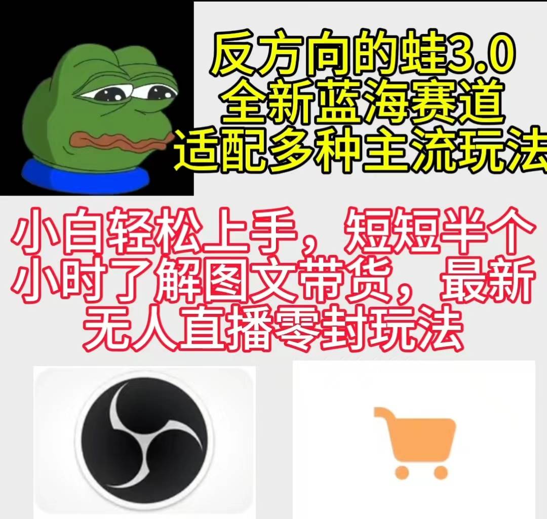 反方向的蛙3.0，图文最新玩法，变现多元化，新蓝海项目，小白轻松上手-副业大全