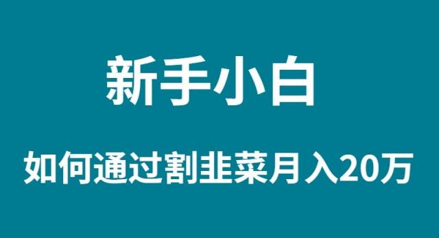 新手小白如何通过割韭菜月入 20W-副业大全