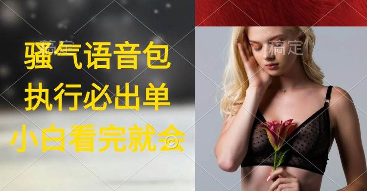 执行就出单，日入2000+，超火骚气语音包，小白看完课程就能马上实操-副业大全