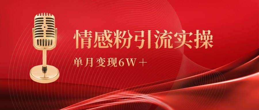 单月变现6w+，情感粉引流变现实操课-副业大全