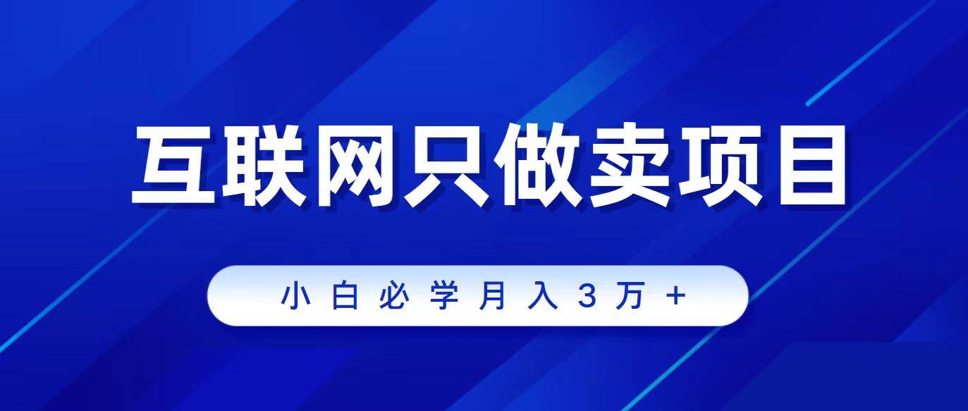 互联网的尽头就是卖项目，被割过韭菜的兄弟们必看！轻松月入三万以上！-副业大全