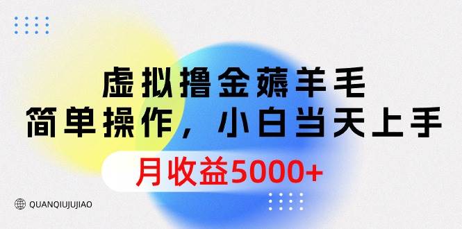 虚拟撸金薅羊毛，简单操作，小白当天上手，月收益5000+-副业大全
